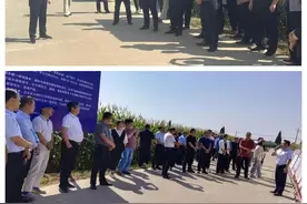 全省农业系统领导及农技专家走进彪角镇观摩“吨粮镇”建设工作图片