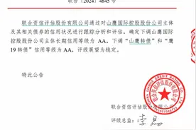 V观财报｜390亿债务压顶！山鹰国际遭下调信用等级，超百家机构紧急开会图片