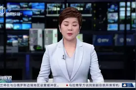 求证：乘客私带蜜袋鼯登机，网上竟有偷渡攻略？图片