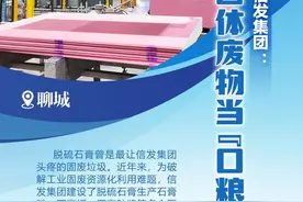 坚定不移推动民营经济高质量发展｜信发集团：固体废物当“口粮”图片
