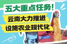 五大重点任务！云南大力推进设施农业现代化→图片