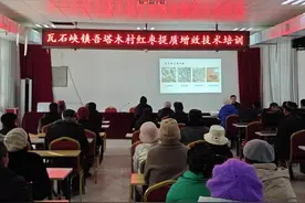 若羌县瓦石峡：技能培训强管理 提质增效促丰收图片
