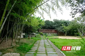乡村追梦人丨邓凌霞：返乡15载，在麒麟湖畔“种下”的田园梦图片