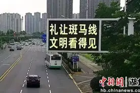 武汉交警多措并举力推斑马线前“带脚刹”图片