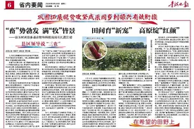 囊谦县：村级后备人才培养 为乡村振兴注入活力图片