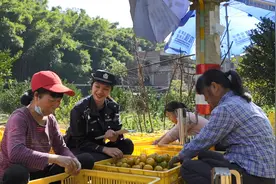 钦州浦北：“陈皮警务”护航“黄金大道”图片