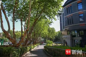 共190名！南师附中特长生招生简章出炉图片