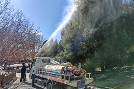花粉过敏高发 北京的树每天要“冲3遍澡”图片