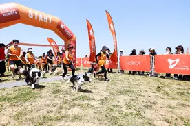 2024狗巴迪勇士赛首站苏州阳澄湖打响 超200组人犬搭档完成自然冒险图片