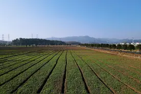 徽州区：建设高标准农田 打造乡村振兴“希望田”图片