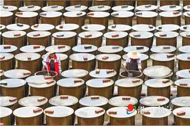“唤醒”古法酱油酿造工艺 激发“镇能量”图片