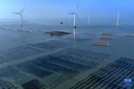 福建：“海上牧场”春耕忙图片