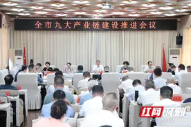 邵阳：推动产业链协同发展提质增效 加快培育壮大现代化产业体系图片
