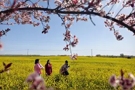 “春日经济”勃发 释放别样活力——石家庄市迎来踏青赏花热潮图片