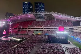 虹口足球场回应顶棚损坏，罪魁祸首是它！有人看演唱会淋雨，手都“泡发”了……图片