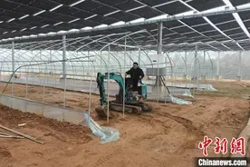 （乡村行·看振兴）“革命老区”湖南弼时乡村蝶变绘新景图片