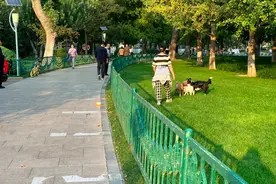 遛狗不拴绳、便溺留原地……“文明养犬”的弦又该紧紧了图片