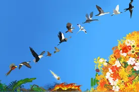 恐龙时代就已开始进化！中美科学家联手揭开现代鸟类起源之谜｜科技有狠活图片