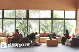 赏梅观景泡温泉，春节来永泰享受冬日旅游新体验！图片