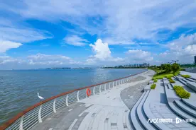 点赞｜东莞滨海湾：打造黄金海岸，助力绿美建设图片