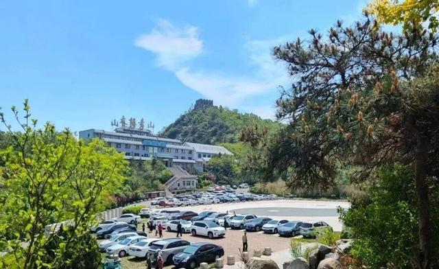 六一撒欢儿！山东16市这样遛娃这样玩