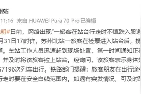 乘客跳下站台逼停高铁？苏州站通报：携带行李不慎跌入，及时叫停列车拉上站台图片