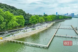 武汉东湖以“绿”为底，绘就生态文明新画卷图片