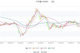 ST中嘉：2024年上半年亏损1449.45万元图片