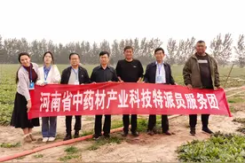 科技助农又富农，绘就地黄产业好“钱”景图片