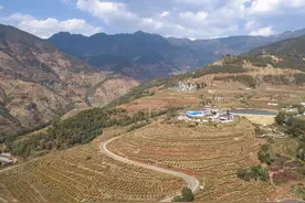 新华全媒+ | 科技农业助力打造“天府第二粮仓”(2)图片