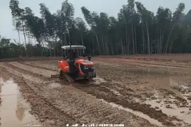 赤水市长沙镇：发展农业新质生产力 助推乡村全面振兴图片
