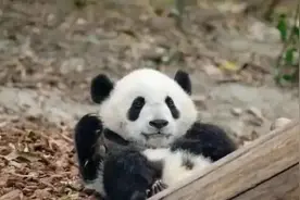 痛心！已离世！官方通报死因图片