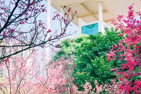 Pics｜Pick most beautiful campus in Guangzhou!图片