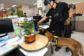 韩国再现“威胁邮件”，发件人称已设置超2.7亿个爆炸物图片