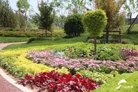 滨州新增一处免费公园 今天正式开放图片