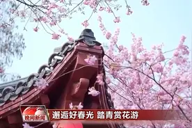 “花”样觅春光 这些地方正上演缤纷的花海盛宴🌷🌹🌸🌼图片