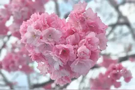 重要提醒！最后10天！图片