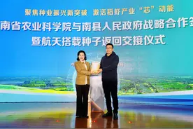 湖南南县：2千克南县稻虾米航天种子交付研发 全面进入“航天＋”时代图片