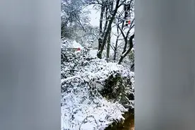 我的老家/下雪了图片