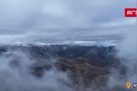 看！新疆塔城牲畜花式转场图片