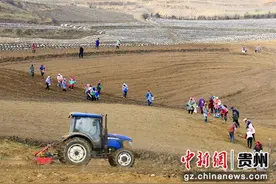 威宁：马铃薯的致富路 绘就乡村振兴新图景图片