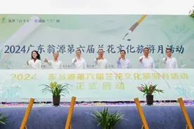 绘就新“兰”图！韶关翁源启动兰花文化旅游月系列活动图片