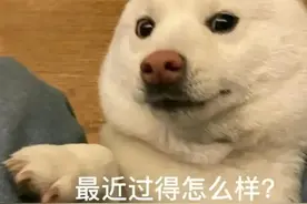 没见过这么粗的！女子腹中掏出60cm长、20cm粗的“巨蟒”！竟是因为……图片