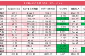 三巨头去年卖了近1.2亿头猪 今年出栏增长+成本博弈或“挤压”养殖盈利|行业观察图片