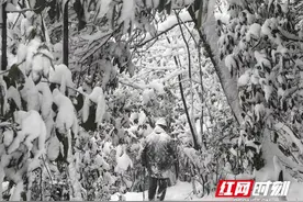 新春走基层·小镇青年丨那个吃“百家饭”的山里娃如今成了“光”图片