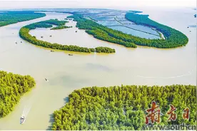 绿美为底描绘瑰丽南粤画卷图片