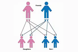 喝碱性水更容易生儿子？生殖专家：没有依据图片