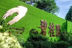 碧桂园公告：财报继续延迟发布图片