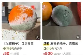 发霉橘子竟成二手平台“香饽饽”，专家提醒：小心“病从鼻入”图片