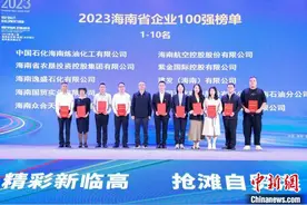 2023海南企业百强名单出炉 入围门槛大幅提高图片
